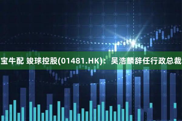 宝牛配 竣球控股(01481.HK)：吴浩麟辞任行政总裁