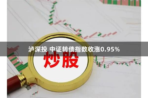 泸深投 中证转债指数收涨0.95%