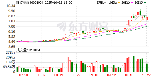 大彩配资 鹏欣资源：董事、总裁张素伟离任